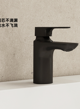 科勒利欧卫生间洗脸盆浴室单把黑色全铜冷热水龙头K-72312T-4-BL