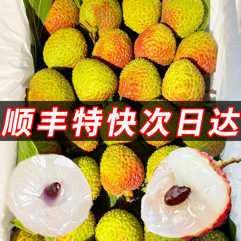 老树荔枝现摘当季水果超甜