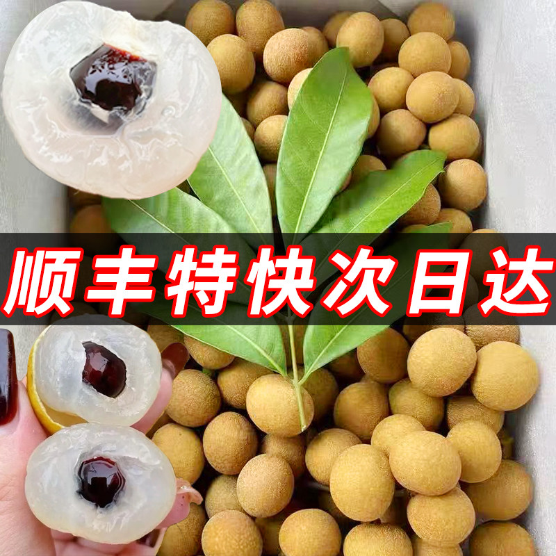 老树当季水果应季10斤大果香甜