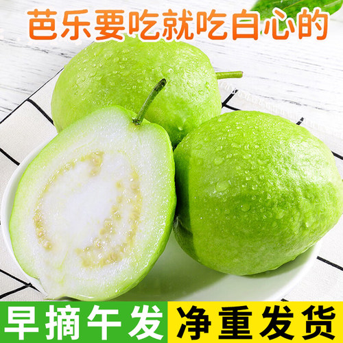 广东增城当季白心芭乐硬脆包邮