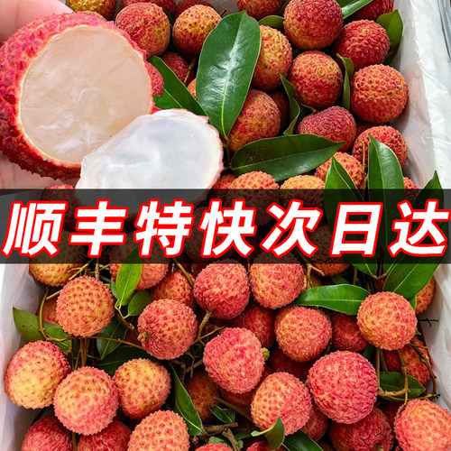 老树荔枝现摘当季水果超甜