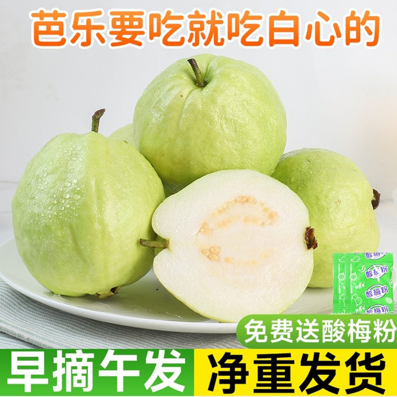 脆甜白芭乐5斤现摘包邮