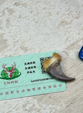 纯银动物爪子包银套爪子熊勾子鹰爪子钩子银套防裂保护银套吊坠