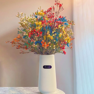 【澳洲腊梅】花鲜切花水养花卉年宵花云南基地直发