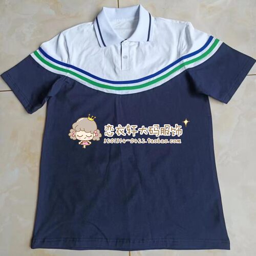 天立学校校服夏季纯棉短袖T恤初高中POIO衫短袖上衣中性款可定制