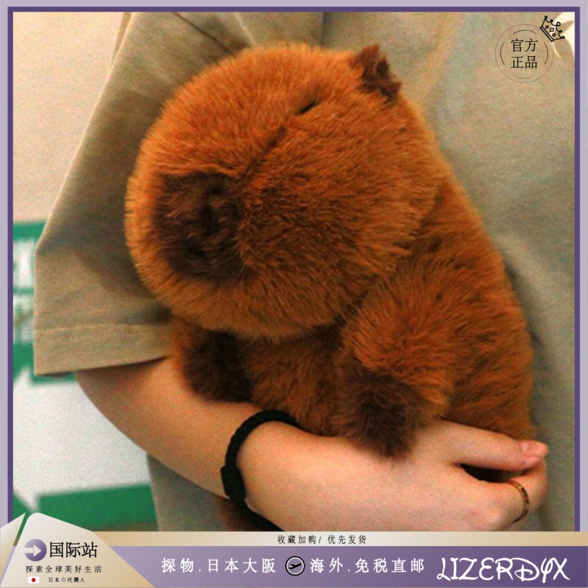 日本LizerDyx卡皮巴拉公仔水豚玩偶毛绒玩具丑萌儿童男女礼物娃娃