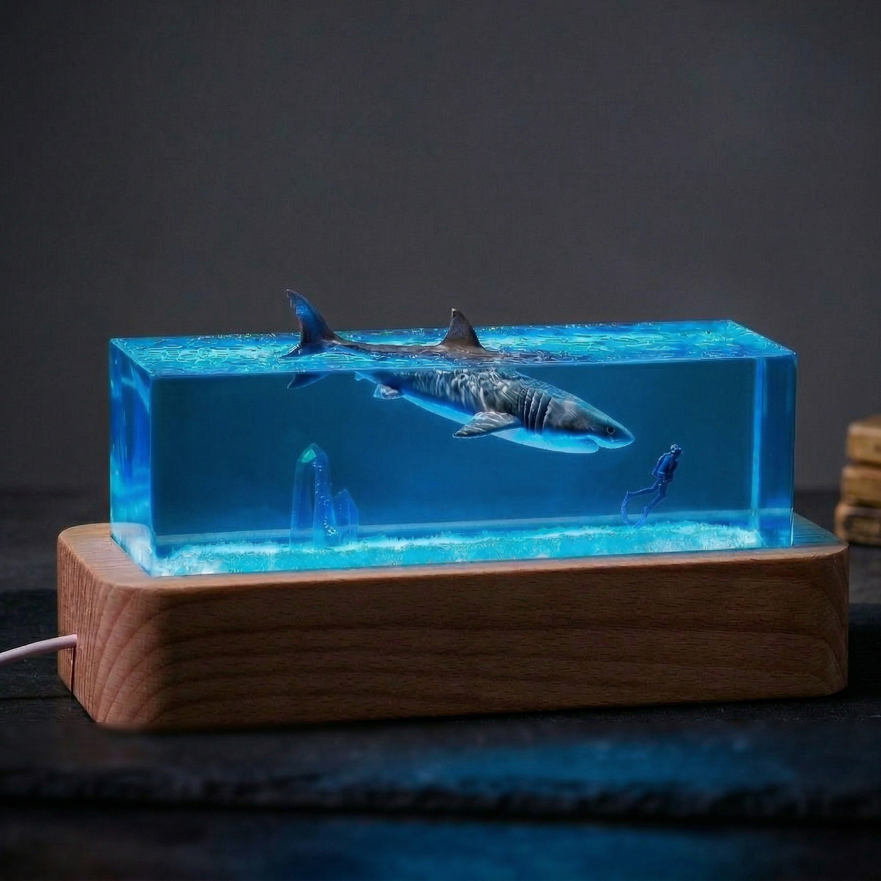 海洋微缩景观小夜灯生日送礼物鲸鱼鲨鱼治愈桌面摆件海底氛围灯