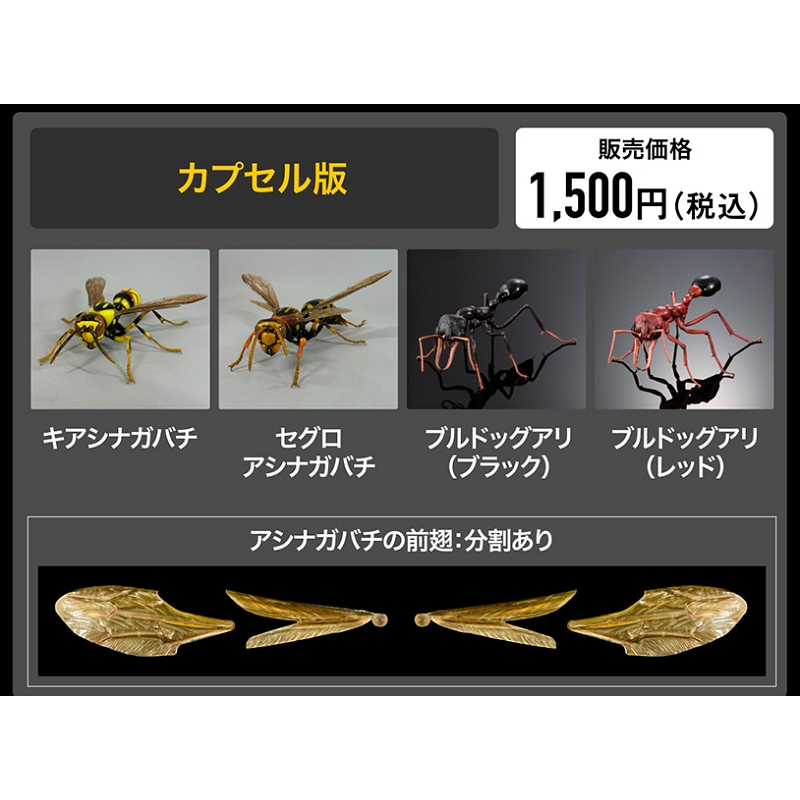 [全款预售] 生物大图鉴牛头犬蚁 拖足蜂 长脚蜂 35处可到货补邮费,模玩/动漫/周边/娃圈三坑/桌游,动漫徽章/立牌,淘宝优惠券,粉丝福利购,淘宝优惠卷