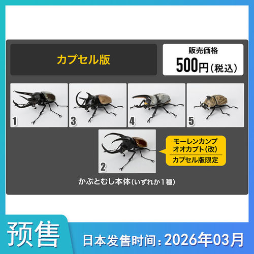 预定【预售定金】甲虫造