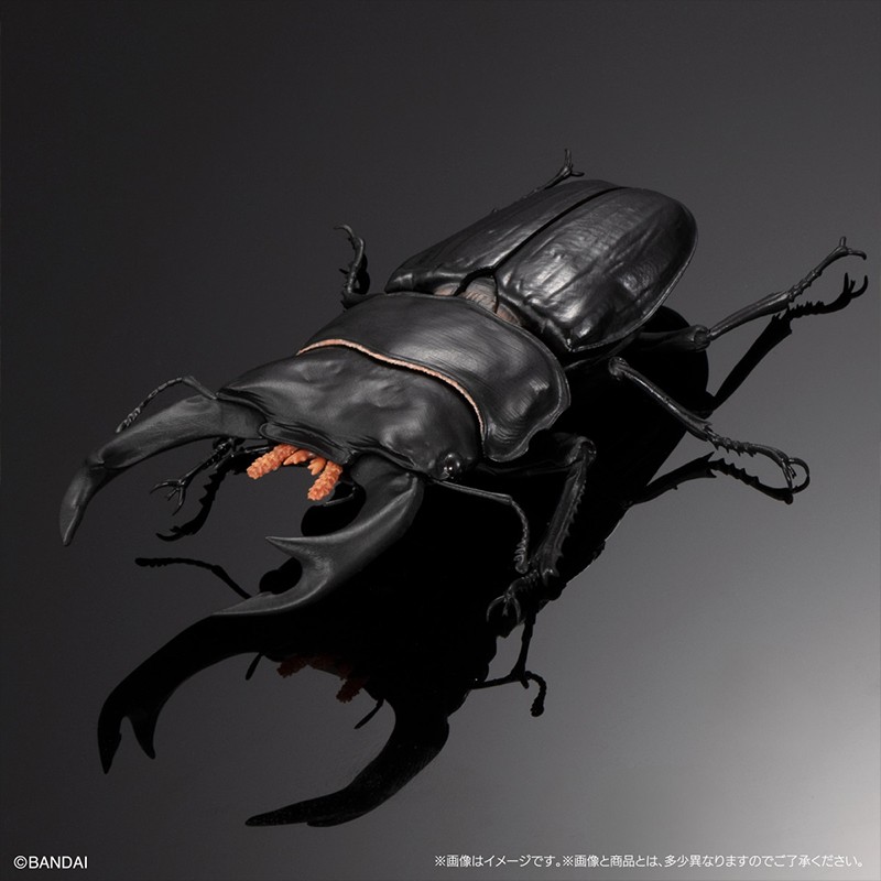 [预售定金]生物大图鉴