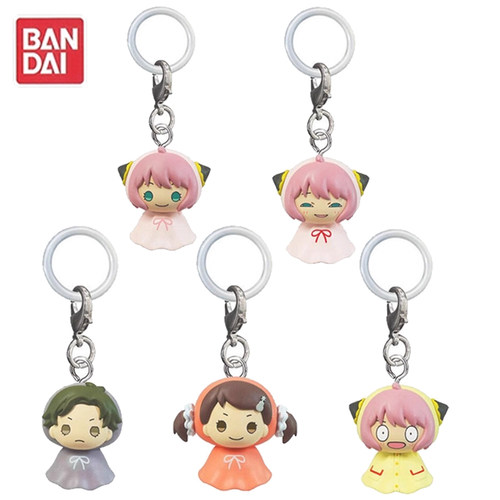 [预售定金]间谍过阿尼亚