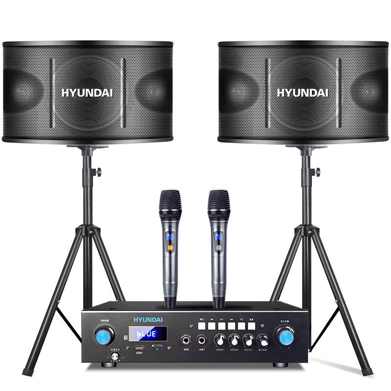 现代 家庭KTV音响套装功放音箱全套家用会议舞蹈室卡拉OK影院唱歌