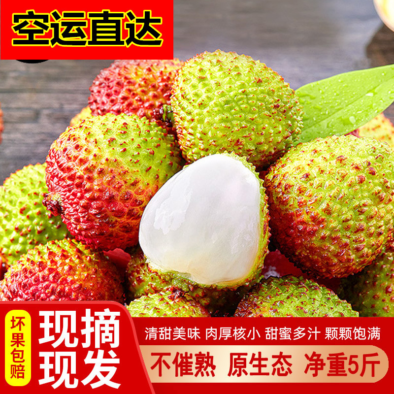 荔枝新鲜包邮广东茂名高州黑叶笑糖罂当季应季现摘现发水果5斤