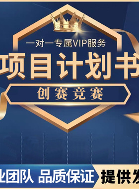 大学生项目计划书ppt定制美化创新创业三创赛互联网+挑战杯创青春