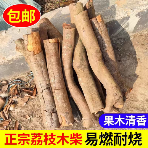 荔枝火柴柴火烧火n户外干柴取暖露营木柴郊外篝火野炊壁炉木头小