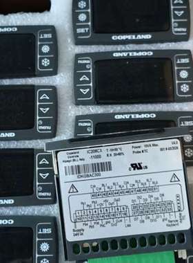 IC208CX-11000 IC208CX-11100 IC