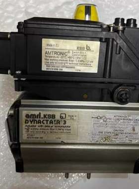 KSB+AMTRONIC++定位器