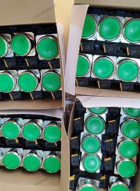 A22NN-RNM-NGA-G100-NN 有绿色