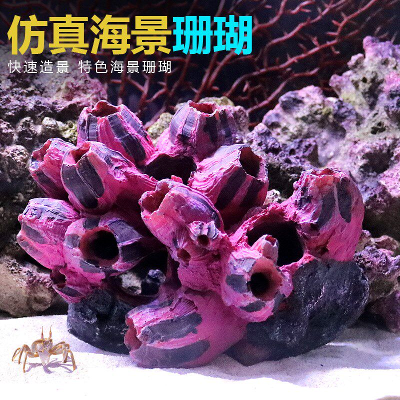 鱼缸水族箱造景珊瑚假山贝壳仿真假水草海水缸装饰布景工艺品摆件|msdalam kategori Aksesori rumah, mural - dari Buy2taobao.com untuk memberikan perkhidmatan ejen Taobao profesional membeli