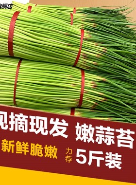 露天蒜苔蔬菜5斤农家蒜薹蒜台蒜毫山东新鲜3自种当季整箱非蒜苗