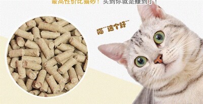 15kg Cat Litter Advanced Pine High Performance Clumping