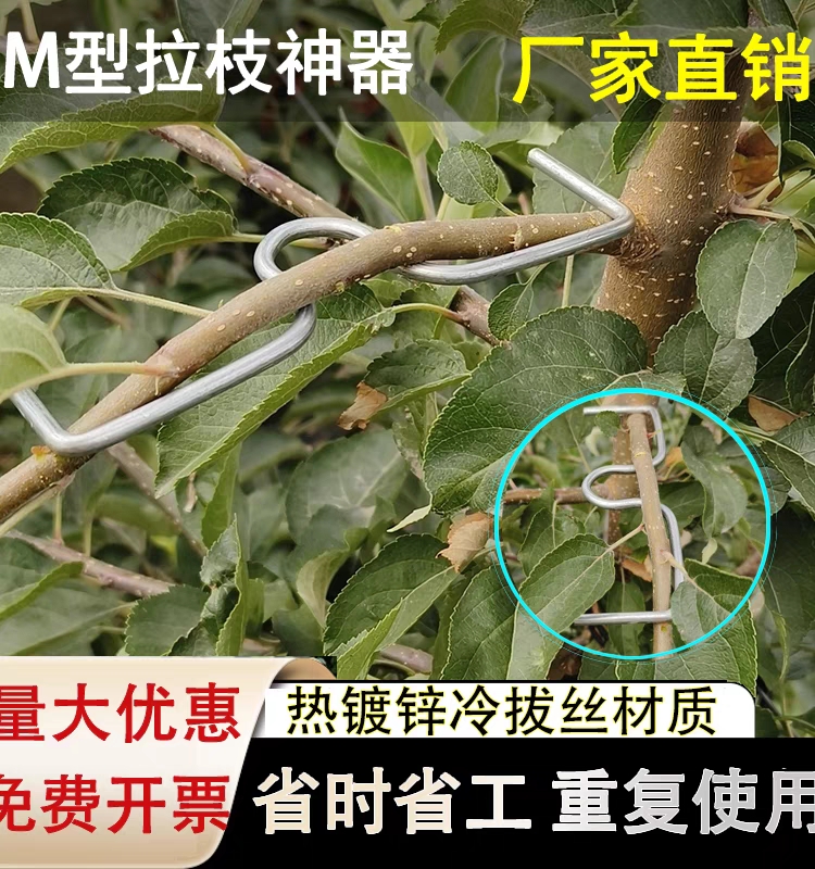 果树拉枝器定型器拿弯器梨树树枝拉直压弯开角别枝神器苹果樱桃树