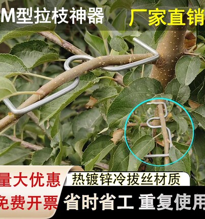 果树拉枝器定型器拿弯器梨树树枝拉直压弯开角别枝神器苹果樱桃树