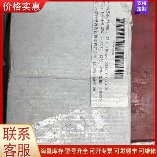 议价TS110 丹瑞压力传感器 G1/8接口100KPA可维修