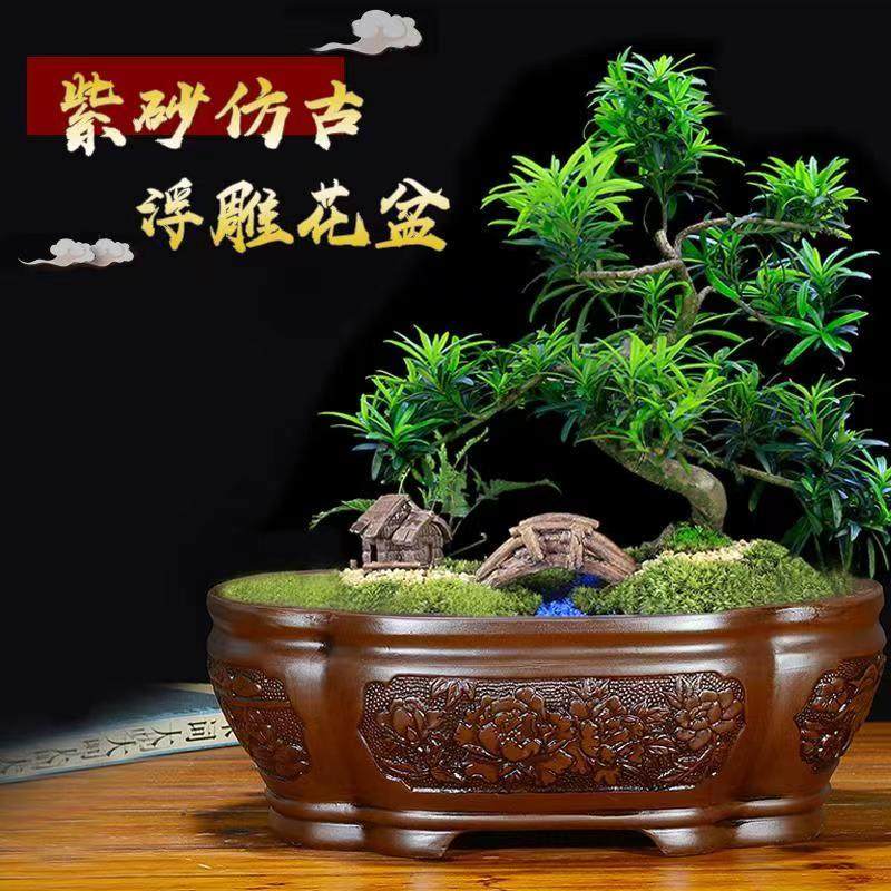 紫砂陶瓷马槽盆景花盆
