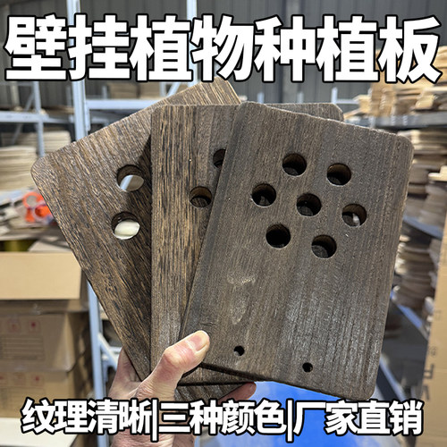 墙上壁挂种植板鹿角蕨板实木拼接
