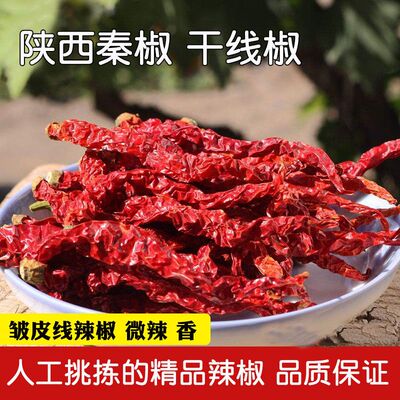 陕西兴平秦椒干线椒微辣特香