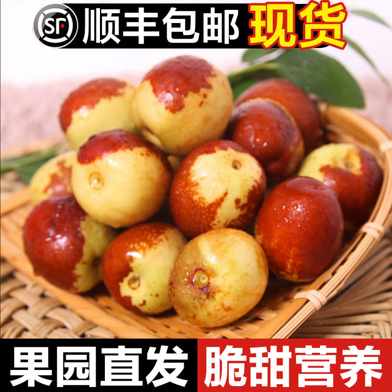 宅厚园沧州黄骅冬枣新鲜 当季鲜枣冰糖脆甜 孕妇水果大枣枣子顺丰
