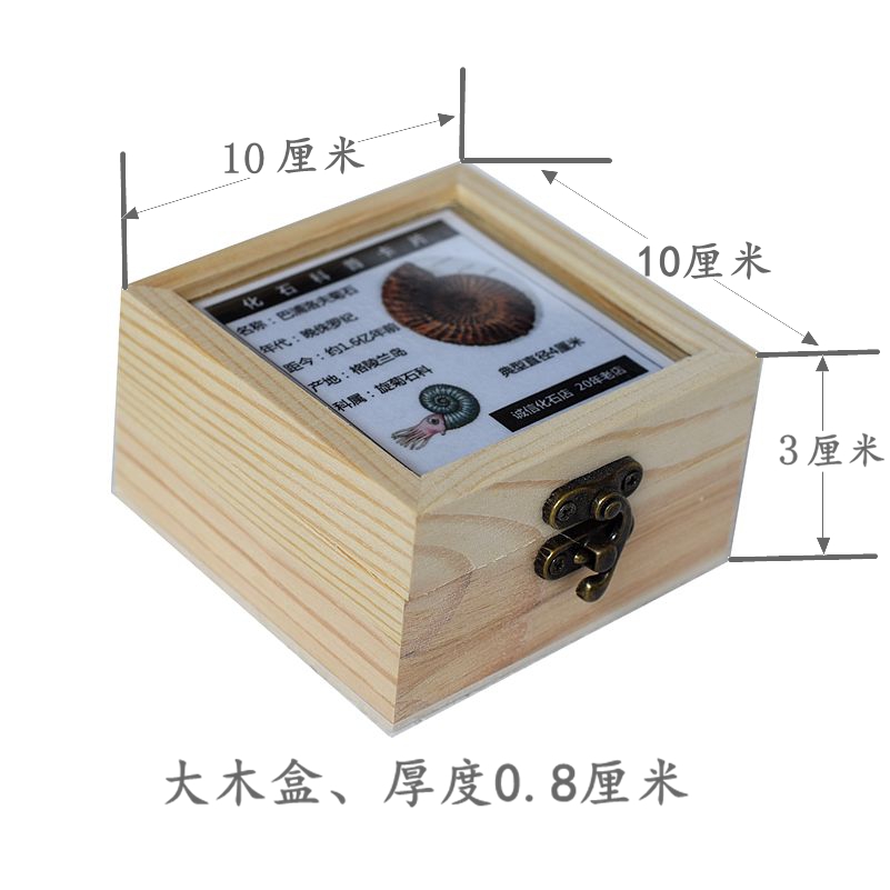 化石矿标展示盒伴手礼永生花木盒