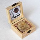 天然侏罗纪古生物巴甫洛夫旋菊石化石标本礼盒摆件礼物儿童科普