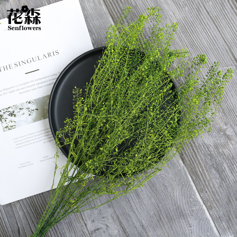 日本大地农园04050翠扇叶永生花心心草干花浮游花材料包手工diy