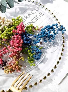 进口日本大地农园胡椒果03380永生花装饰果实浆果豆装饰搭配diy