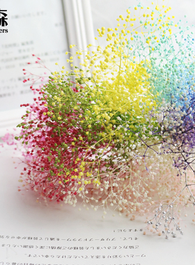 永生花满天星霞草进口日本大地农园00010/00020/00015配材diy插花