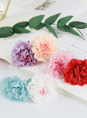 永生花康乃馨02381/02181diy材料日本进口大地农园车挂永生花礼盒