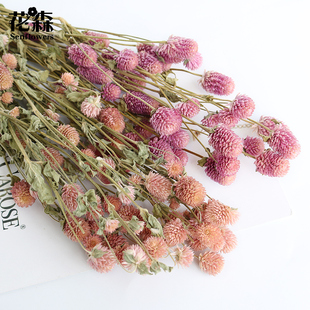 出口级千日红草莓果永生花干花配材diy装饰搭配手工花盒 装饰插花