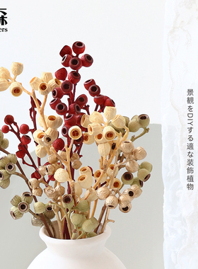 永生花材diy大地进口尤加利圆口干果僵尸果40220配材配花装饰手工