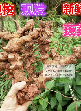 山上现挖新鲜菝葜根 金刚藤铁菱角煲汤泡酒金刚根金刚刺根菝葜3斤