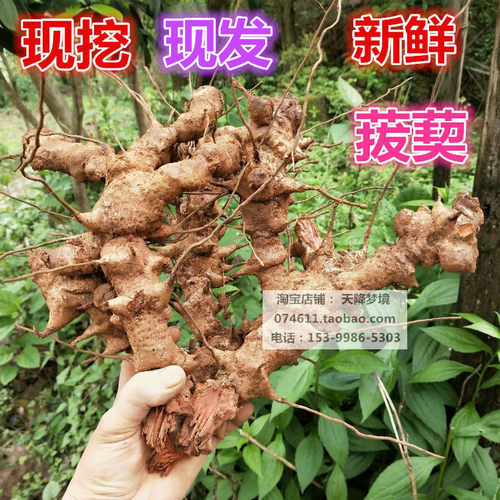 山上现挖新鲜菝葜根 金刚藤铁菱角煲汤泡酒金刚根金刚刺根菝葜3斤 - 封面