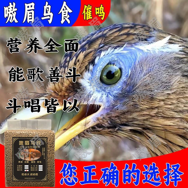 画眉食饲料【性高火旺】