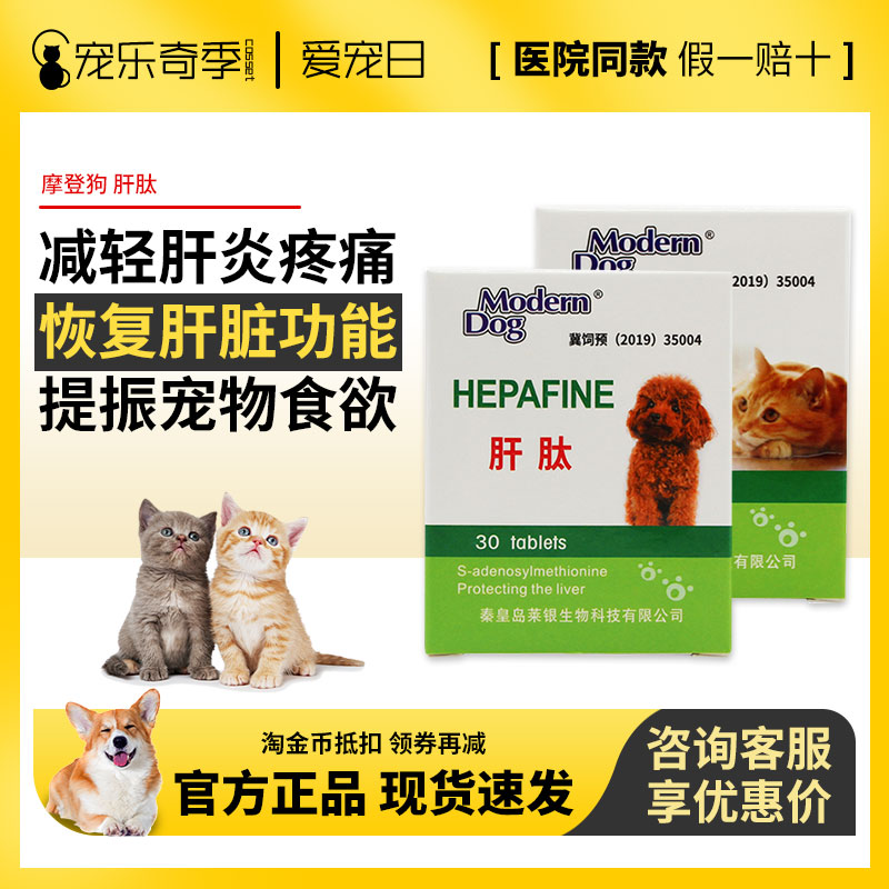 摩登狗肝肽犬用猫用肝脏营养品猫腹水肝损伤肝病狗狗保肝宁护肝炎-封面