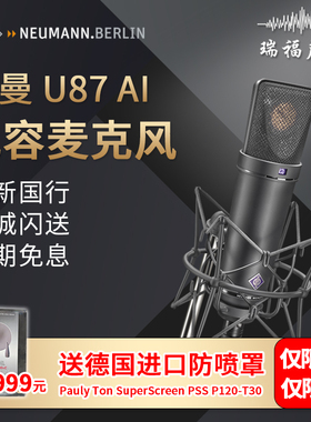 Neumann/诺音曼 U87AI  KMS105 M149 TLM103 TLM102专业麦克风话