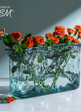 玻璃花瓶西班牙进口vsm长方形客厅水培花器复古水养插花装饰摆件