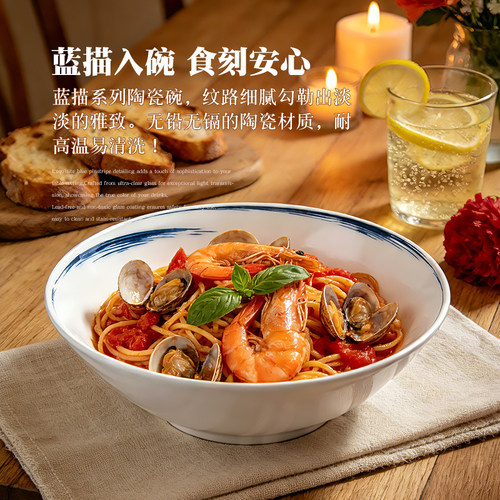德国进口蓝描系列面碗高级感餐具
