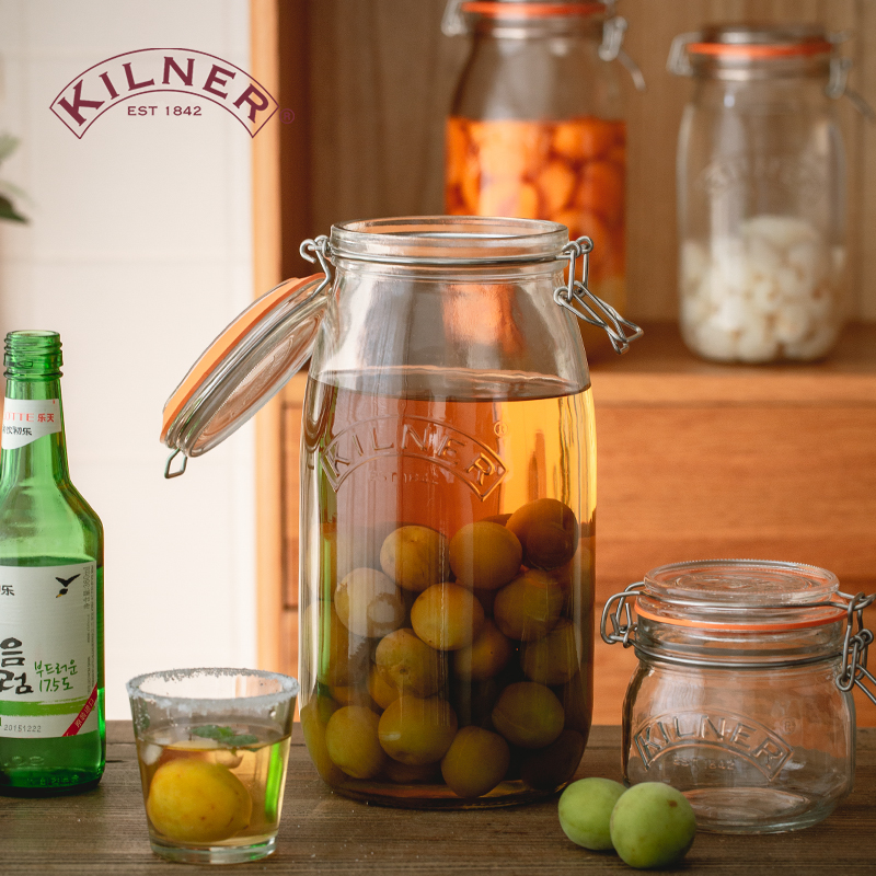 赠酒提子青梅泡酒专用酒瓶高颜值