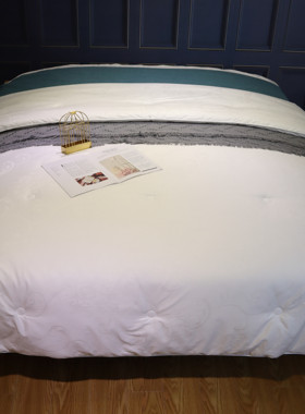 FUMI富米家纺 臻珍桑蚕丝被 被芯双宫特级桑蚕长丝/BD200028/29