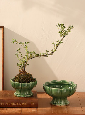新中式禅意苔藓球陶瓷花盆室内客厅办公室桌面流泉枫铁线蕨盆景盆